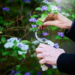 Gardening